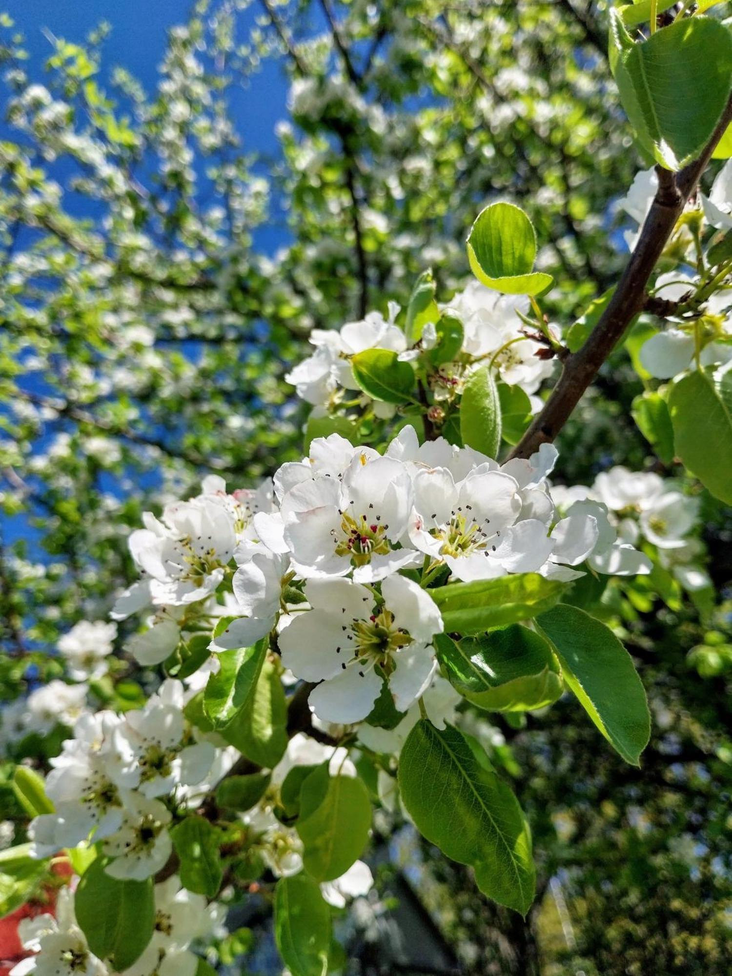 Gyttja Vaestergards Nagu Esterno foto